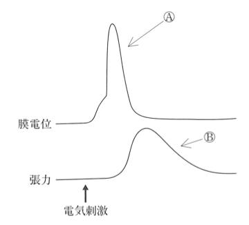 解説画像